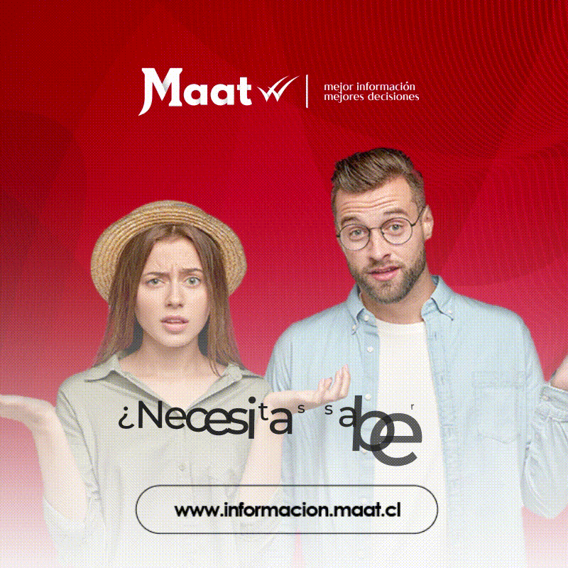 MAAT - Informe comercial